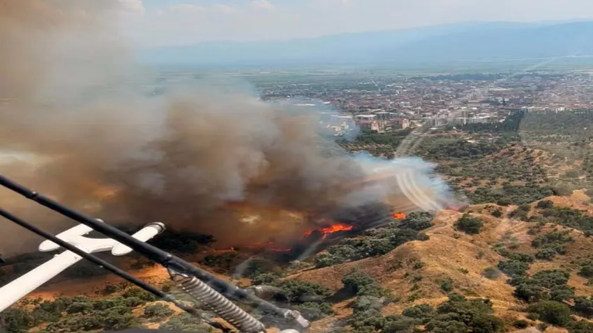 Nazilli'de zeytinlik yangını haberinin görseli