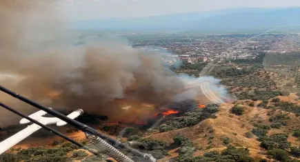 Nazilli'de zeytinlik yangını