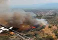 Nazilli'de zeytinlik yangını