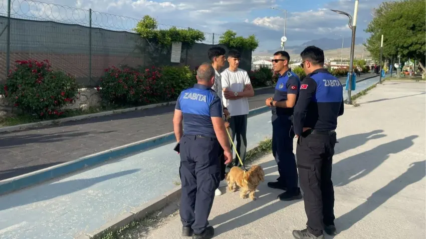 Van'da kuduz alarmı: 7 mahalle karantinaya alındı haberinin görseli