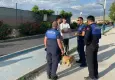 Van'da kuduz alarmı: 7 mahalle karantinaya alındı