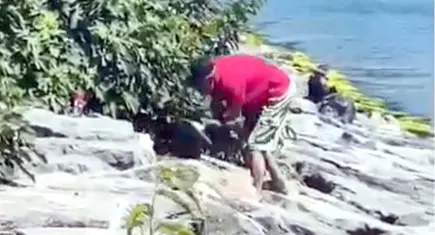 Avcılar Sahili’nde köpeğe şiddet: Şüpheli gözaltına alındı