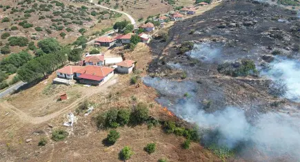Manisa'da maki yangını: 30 dönüm alan kül oldu