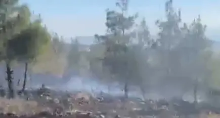 Gaziantep’te orman yangını