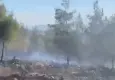 Gaziantep’te orman yangını