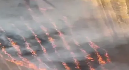 Silivri'de otluk alanda yangın!