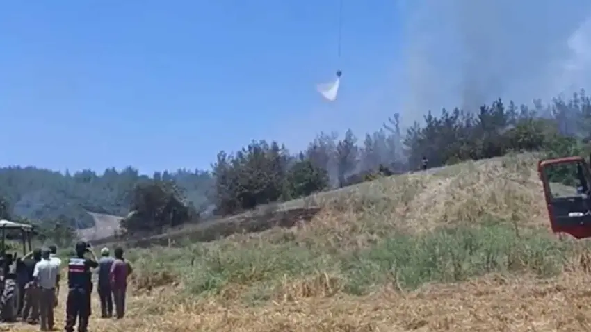 Alevlerle eş zamanlı mücadele! Çanakkale, Adana ve Bursa'da yangın alarmı haberinin görseli