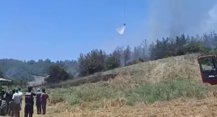 Alevlerle eş zamanlı mücadele! Çanakkale, Adana ve Bursa'da yangın alarmı