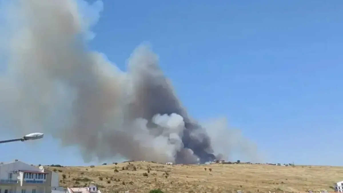 Dikili'de yangın görseli