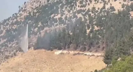 Gaziantep’te orman yangını