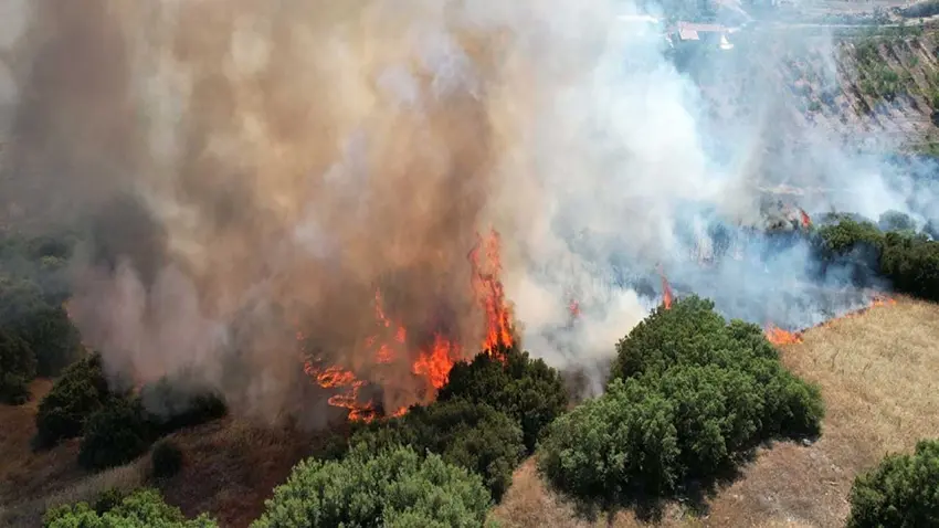 Manisa'da maki yangını