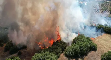 Manisa'da maki yangını