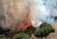 Manisa'da maki yangını