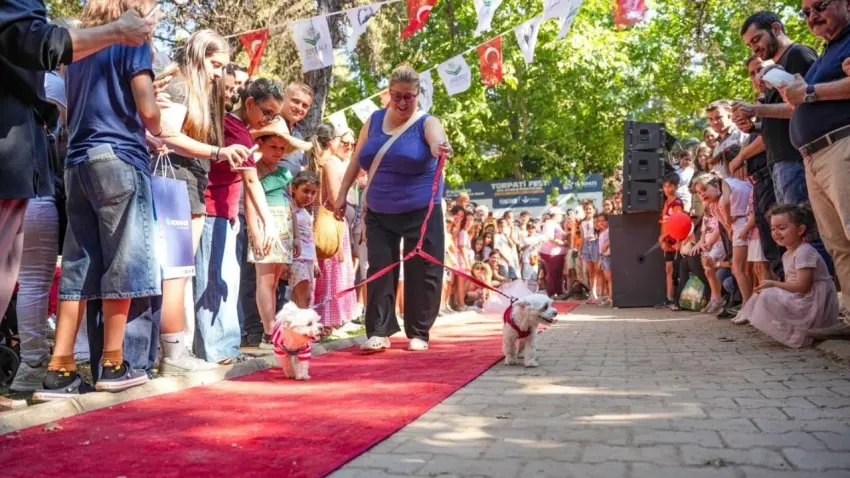 k&ouml;pekler