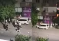 Pendik'te akrabaların 'çocuk' kavgası kanlı bitti: 12 yaralı, 5 gözaltı!