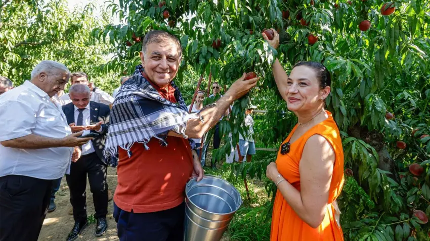 Selçuk’ta şeftali şenliği üreticiyi buluşturdu haberinin görseli