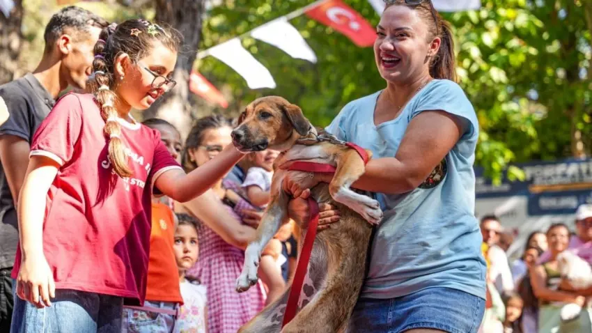TORPATİFEST'te 32 can dosta yeni yuva haberinin görseli