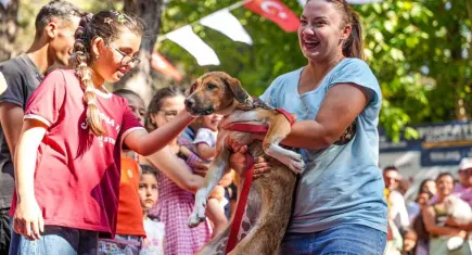 TORPATİFEST'te 32 can dosta yeni yuva