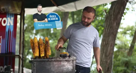 Uzmanlar uyarıyor: Yazınız zehir olmasın