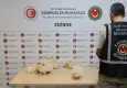 Kapıkule'de kaçak köpek operasyonu: 6 Pomeranian yavrusu ele geçirildi
