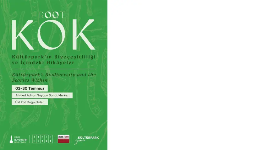 kök