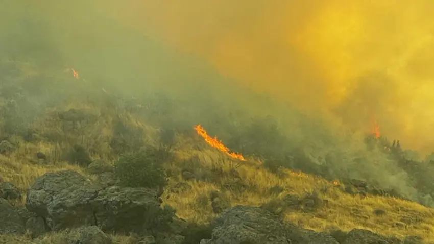 Menemen'de otluk alanda yangın haberinin görseli