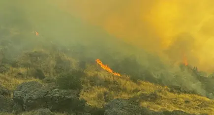 Menemen'de otluk alanda yangın