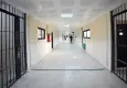Türkiye’deki hükümlü ve tutuklu sayısı belli oldu