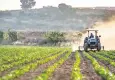 Avrupa’daki kuraklık Türkiye'yi de vurabilir