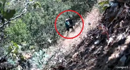 Kenevirlerin bakımını yaparken fotokapana yakalandılar: CHP ilçe başkanı ve oğluna gözaltında
