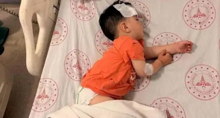 Şanlıurfa’da köpek saldırısı sonrası bakanlık harekete geçti