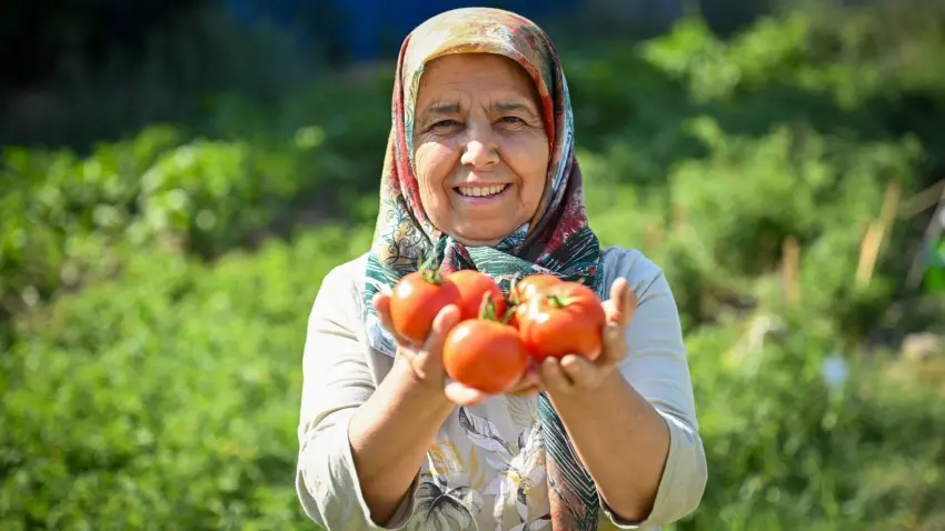 Bornova’da Kent Bostanları bereket verdi haberinin görseli