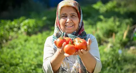 Bornova’da Kent Bostanları bereket verdi