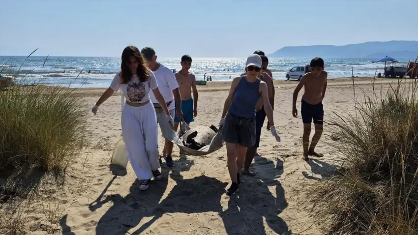 Ege sahillerinde alarm: 3 caretta caretta ölü bulundu haberinin görseli