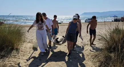 Ege sahillerinde alarm: 3 caretta caretta ölü bulundu