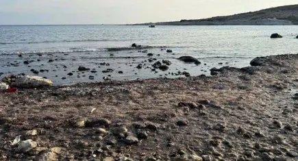 İzmir haber: Serinlemek için girdiği denizde hayatını kaybetti