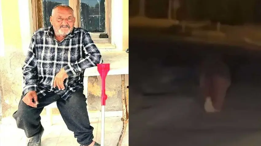 Seferihisar’da ayı saldırısına uğrayan kişi yaşamını yitirdi haberinin görseli