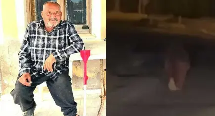 Seferihisar’da ayı saldırısına uğrayan kişi yaşamını yitirdi