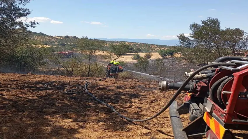 Balıkesir'de anız yangını: Kontrol altına alındı