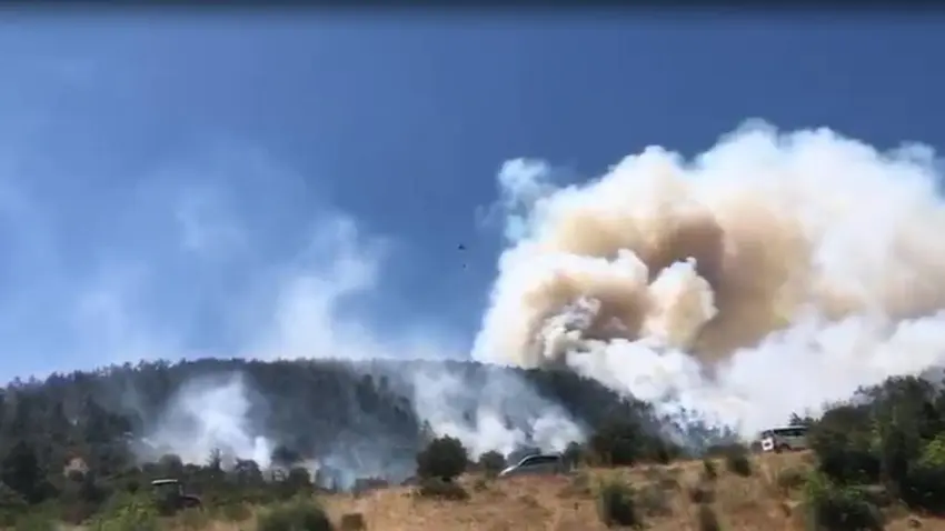 Balıkesir'de orman yangını haberinin görseli