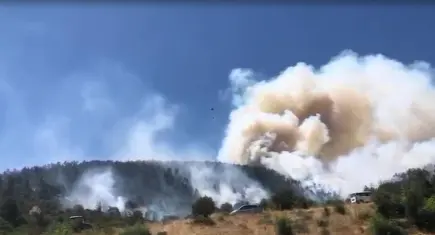 Balıkesir'de orman yangını