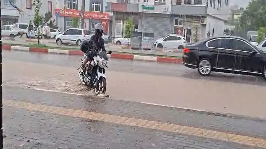 Osmaniye’de sağanak ve fırtına ağaçları devrildi haberinin görseli