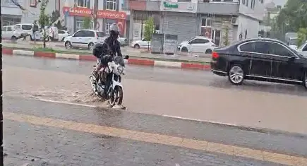 Osmaniye’de sağanak ve fırtına ağaçları devrildi