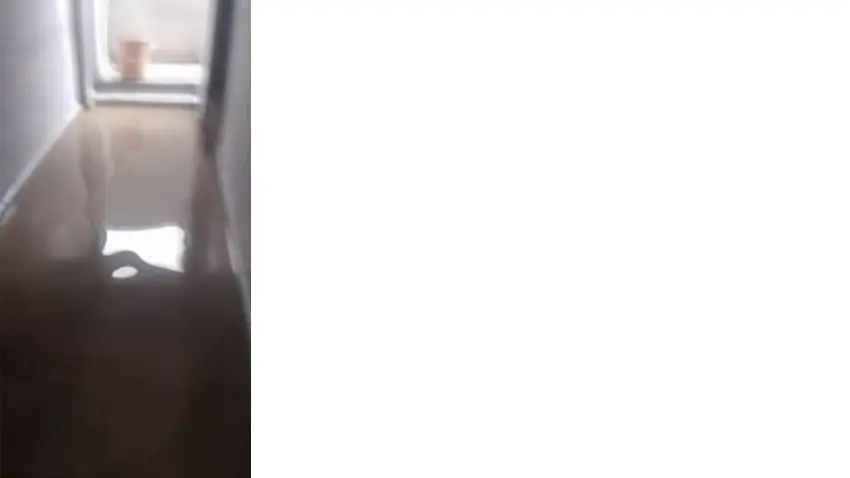ev