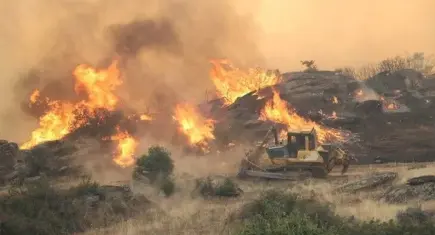 Aydın’da korkutan yangın: 20 ev tahliye edildi