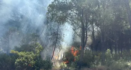 İzmir'deki iki orman yangınına 2 gözaltı
