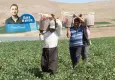 40 derecede alın teri döküyor, sofrasına yetmiyor