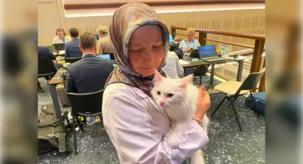 Ankara kedisi 'Lokum', yabancı basının ilgi odağı oldu
