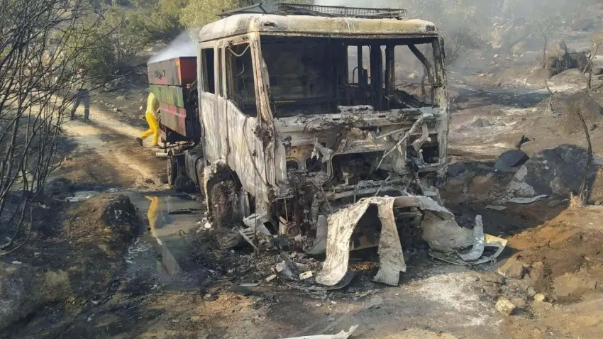 Aydın'da zeytinlik alanda dev yangın 8 saatte kontrol altına alındı haberinin görseli
