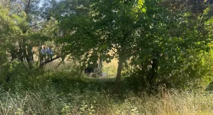 Eskişehir’de ağaçlık alanda şüpheli ölüm